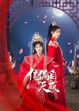 《佳偶自天成》：当傲娇大小姐遇上腹黑王爷，一场跨越时空的浪漫爱情冒险！